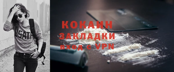 стафф Каменногорск