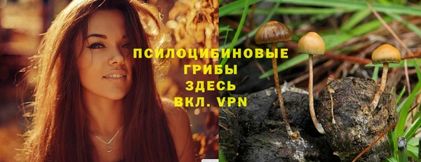 амф Балахна
