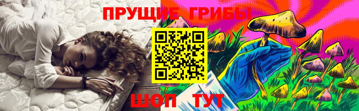 Галлюциногенные грибы Psilocybe  Псилоцибиновые грибы Cubensis  Вход с VPN  Краснокаменск 